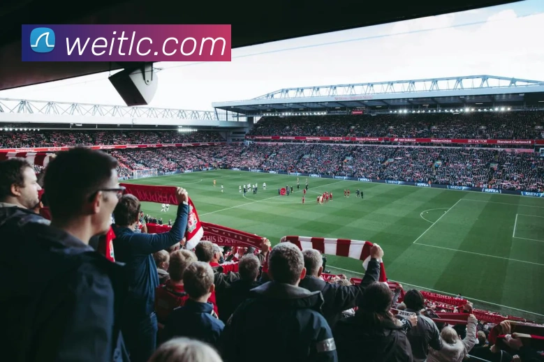 买球官方全站App